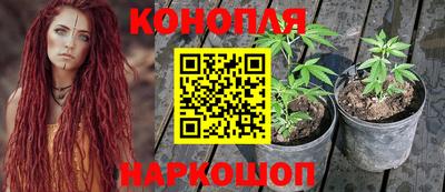 твердый Краснознаменск