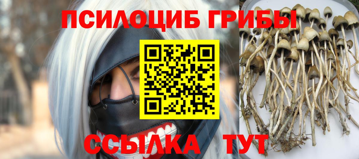 Галлюциногенные грибы ЛСД  Вход с VPN  Псилоцибиновые грибы Magic Shrooms  Уфа 